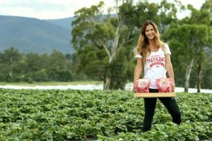 Ruth Gallace has extended her strawberry range to include seasonal mixed berries, blueberries and mangoes.